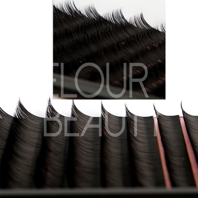 lashes extension.jpg